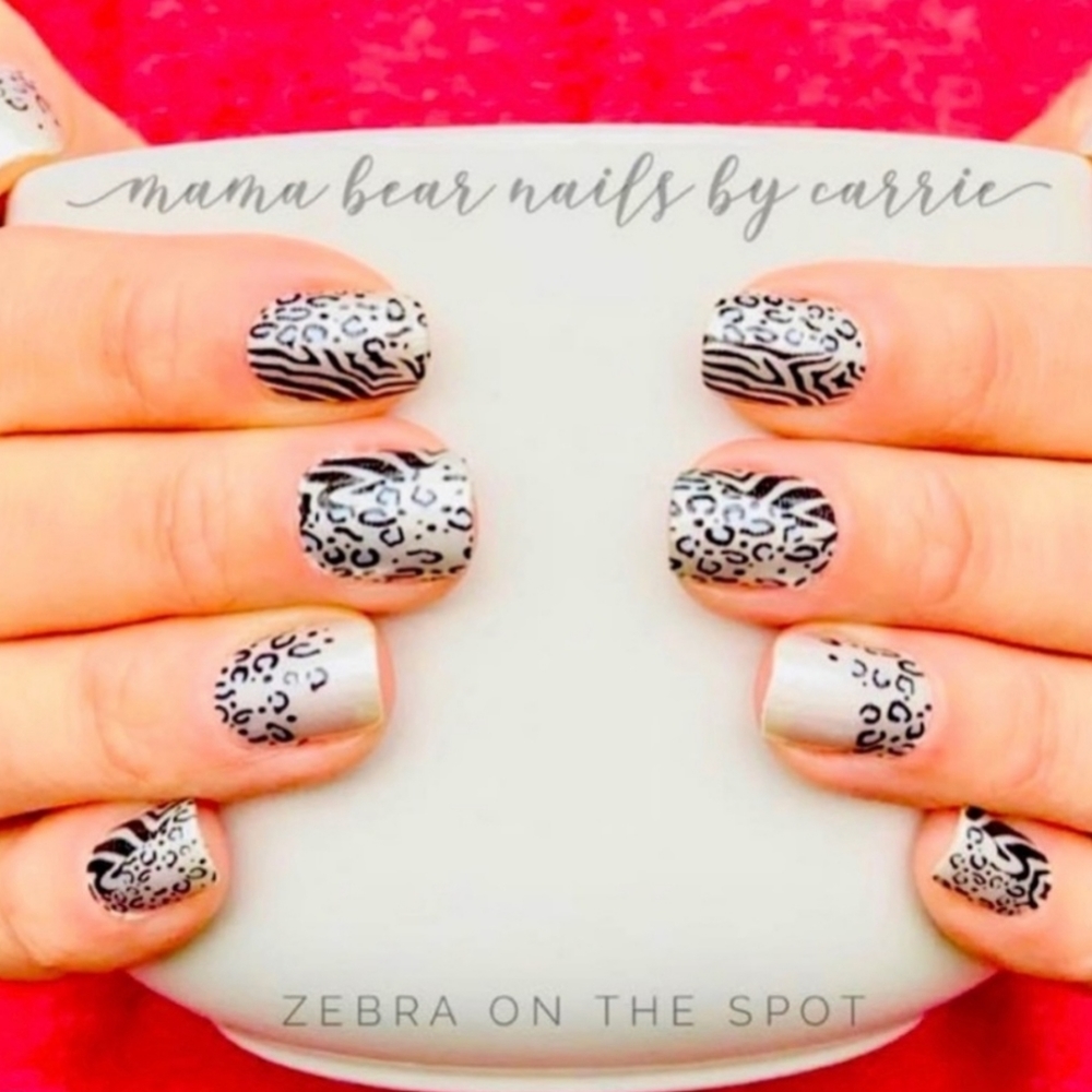 Zebra on The Spot - Picture 1 of 1